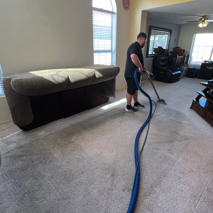 cleaning carpet in a living room phoenix az